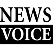 News Voice